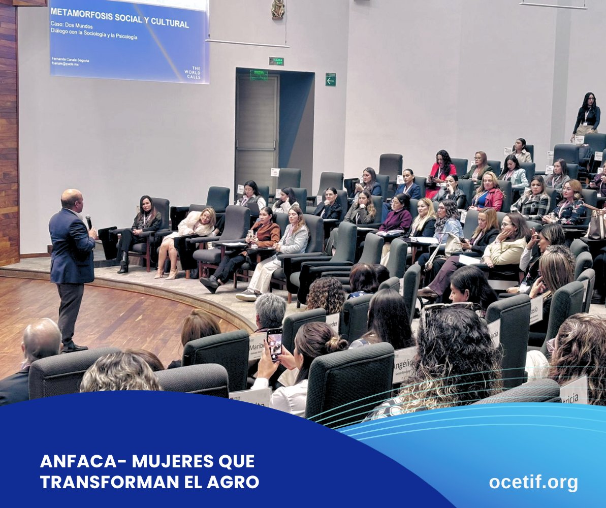 OCETIF_Oficial's tweet photo. 🌾 Liderazgo que impulsa transformación

Hoy, nuestra presidenta Mtra. Mildred Villanueva Martínez fue invitada por ANFACA – Mujeres que Transforman el Agro, un espacio dedicado al liderazgo y la alta dirección para impulsar el desarrollo del sector agroalimentario.

Durante este encuentro se destacó que el liderazgo femenino es ya un motor de cambio en la cadena agroalimentaria, aportando visión, innovación y decisiones estratégicas que fortalecen a la industria.

En OCETIF celebramos y apoyamos la participación activa de las mujeres que están marcando una diferencia real en el desarrollo del agro en México.

#OCETIF #MujeresQueTransformanElAgro #LiderazgoFemenino #ANFACA #IndustriaAgroalimentaria