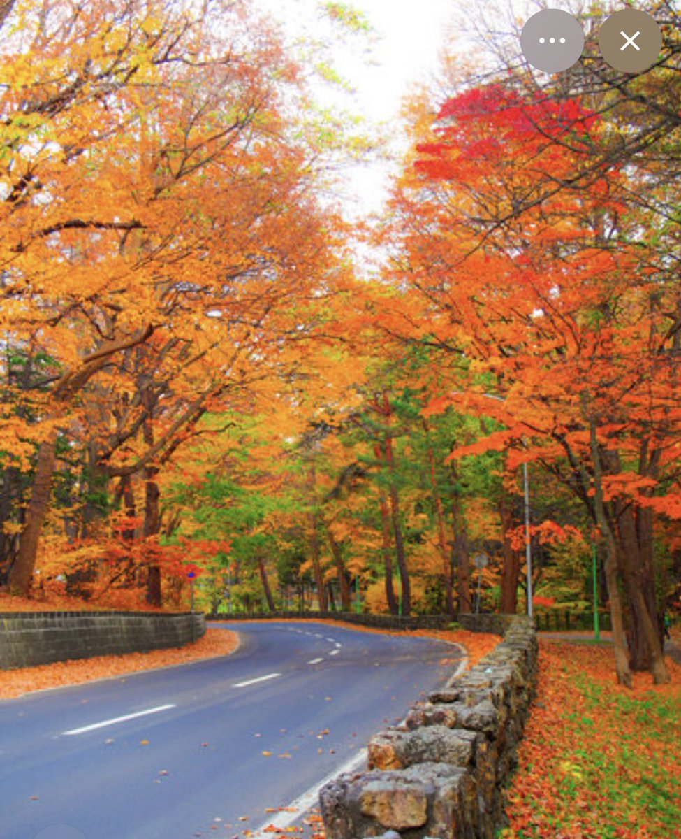 ☆青空☆ページ AOZORA BLUE HEAVEN（アオゾラブルーヘヴン）｜ファッション通販 SANKO