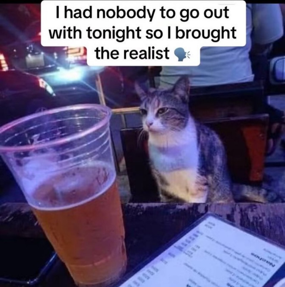 Catsillyness's tweet image. Real one