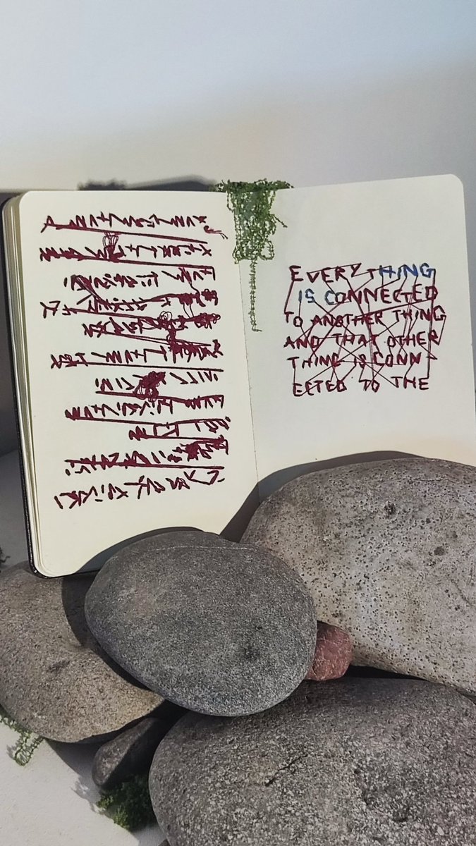 suntasuu's tweet image. 