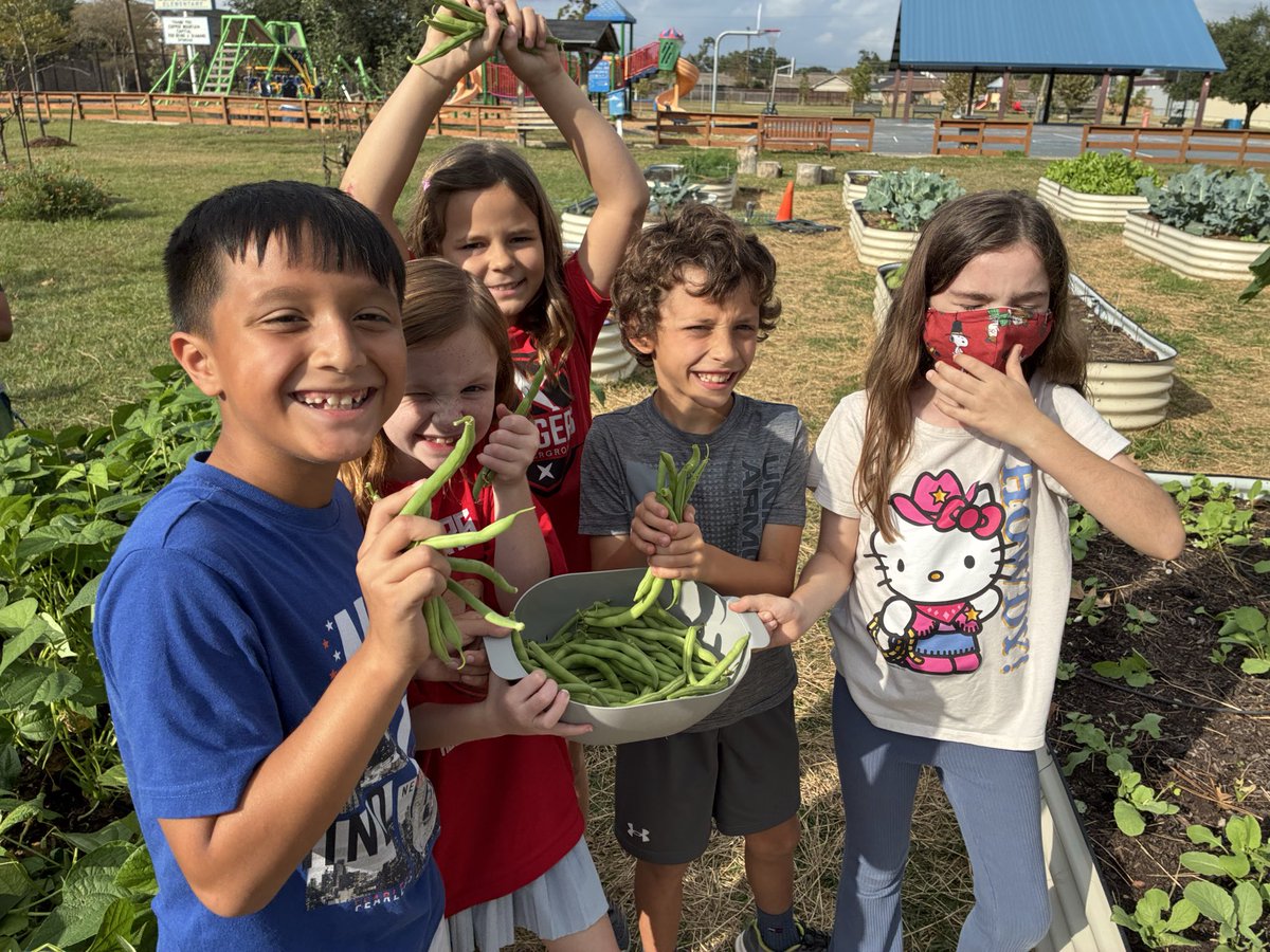 Angela Hoang tweet media