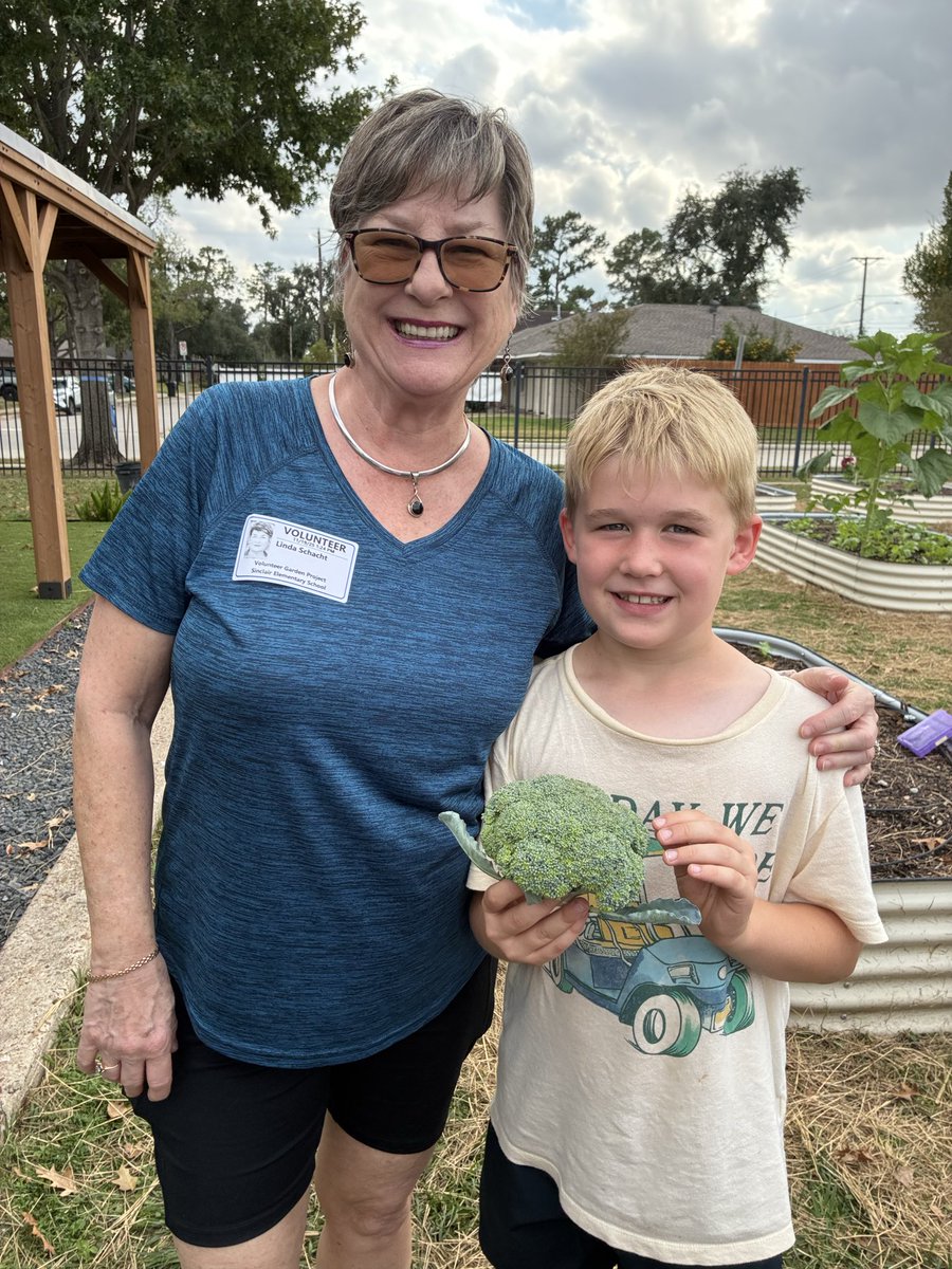 Angela Hoang tweet media