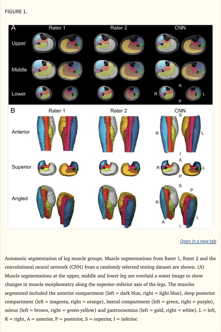 Stanford Pain Medicine tweet media