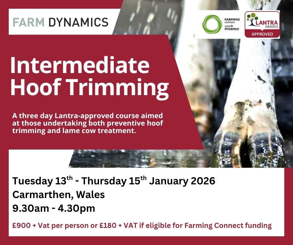 🐮NEW FOOT TRIMMING COURSE DATES

<a href="/LantraWales/">Lantra Wales</a> approved &amp; eligible for <a href="/FarmingConnect/">Farming Connect</a> funding 

👉Sat 7th Feb: First Aid for Feet @ Welshpool 

👉13-15th Jan: Intermediate Hoof Trimming @ Carmarthen

#healthyfeet #CPD #evidencebased