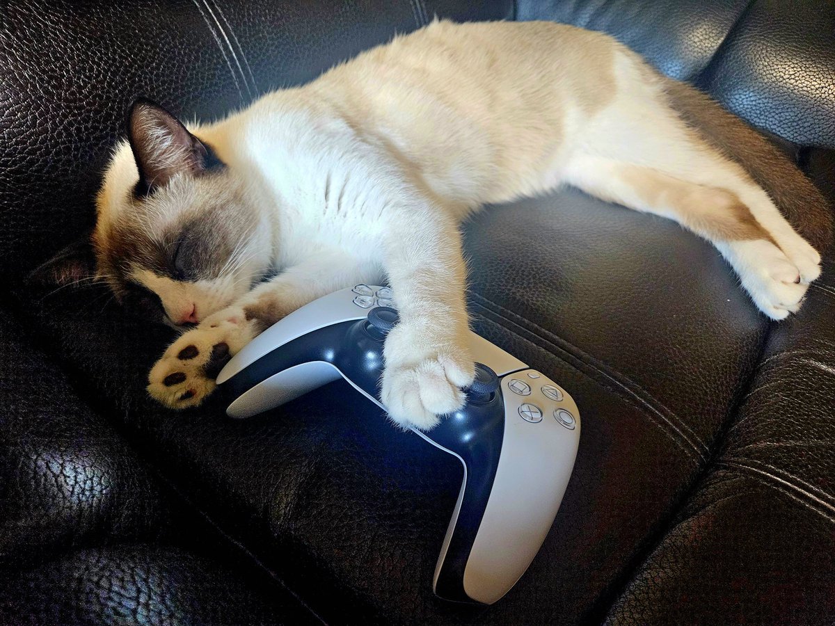 shinobi602's tweet image. Worst co-op partner ever. Always having to carry him