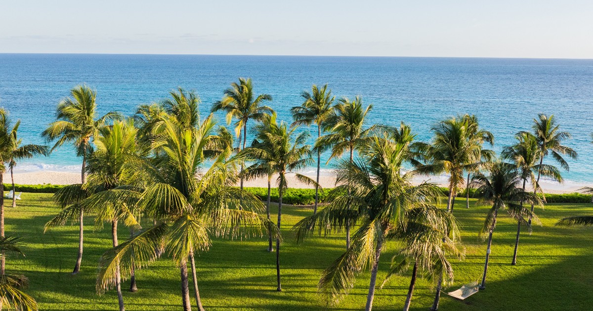 Trade the chill for the Bahamas. Experience the festive season the island way, where sunlit days and sparkling evenings make the holidays even more special. 

Visit the link to book your seasonal escape: bit.ly/43evN6F. 

#FSOceanClub #FourSeasons #VisitNPI