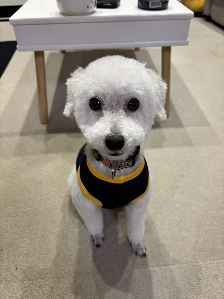 おはようございます。
試合ならどんなに大変な状況でも行くのに、三保活とか諸々のイベントはどうしても仕事を優先させてしまう💦
仕事頑張らなきゃ試合行くお金も無い訳だししょんないよね。
ところで最近、｢〇〇さんが(2名限定)投稿しました｣って通知が来るんだけど何だろう🤔

#エスパルス犬部