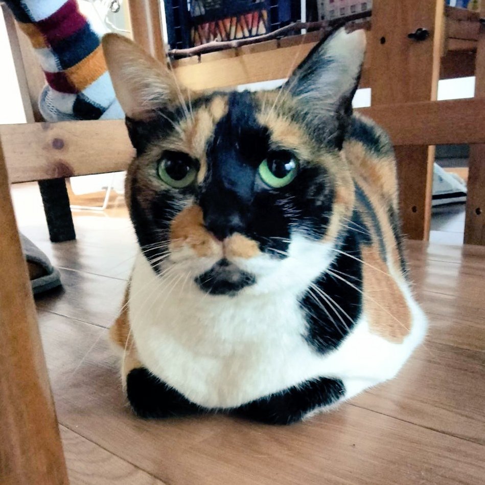 keke (@keke38448768) / Posts and Replies / X