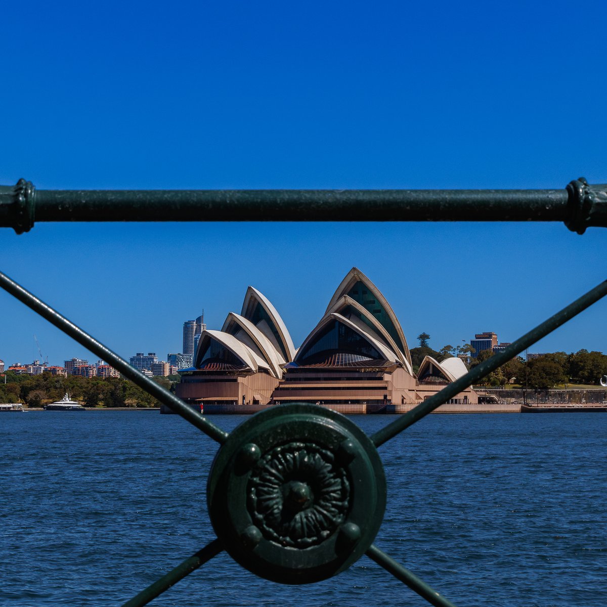 TechnicallyNotAsian tweet media