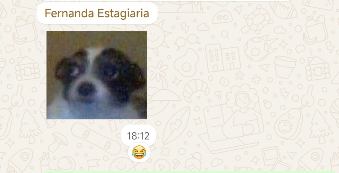 itxrenataf's tweet image. a minha