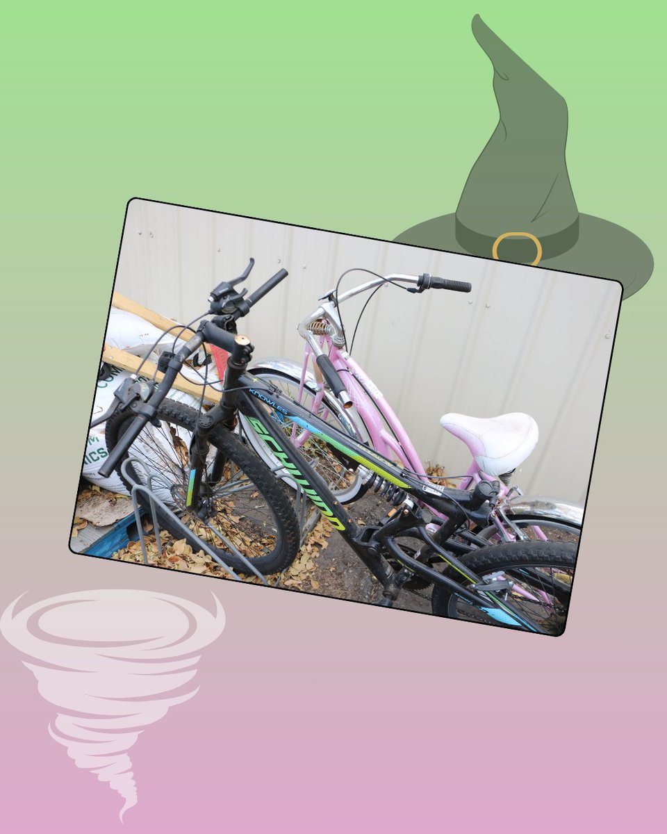 CSU_Surplus's tweet image. CSU Surplus is absolutely WICKED, FOR GOOD.