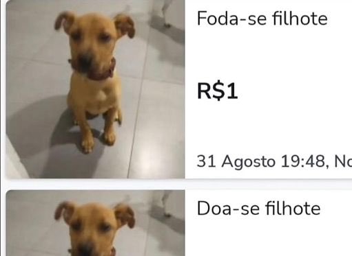 nelsonfarofinha's tweet image. 