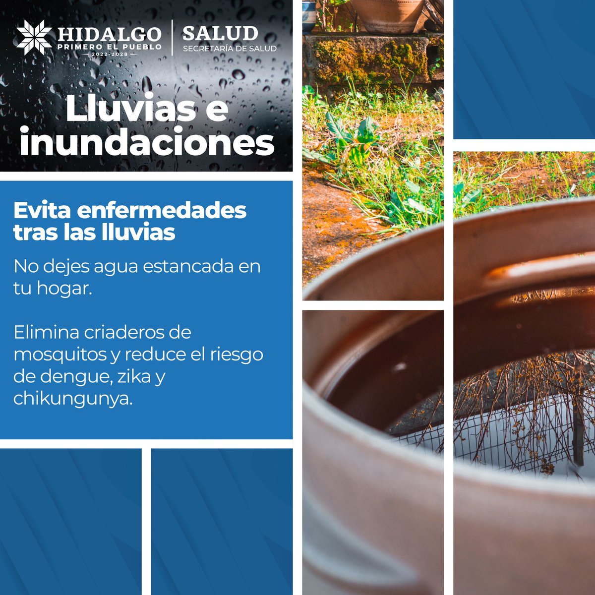 Salud_Hidalgo's tweet image. Tras las lluvias, el verdadero riesgo empieza: el agua que se queda en tu casa puede convertirse en un criadero lleno de mosquitos 🦟.
No dejes charcos, ahí nacen las enfermedades como dengue, zika y chikungunya ⚠️.

#PrimeroTuSalud #PrimeroElPueblo