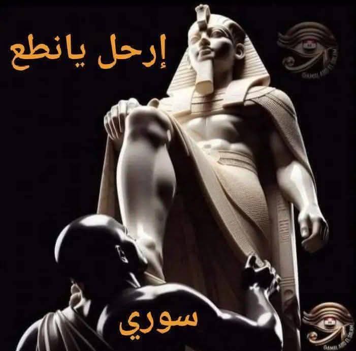 NadiaNa57579930's tweet image. 