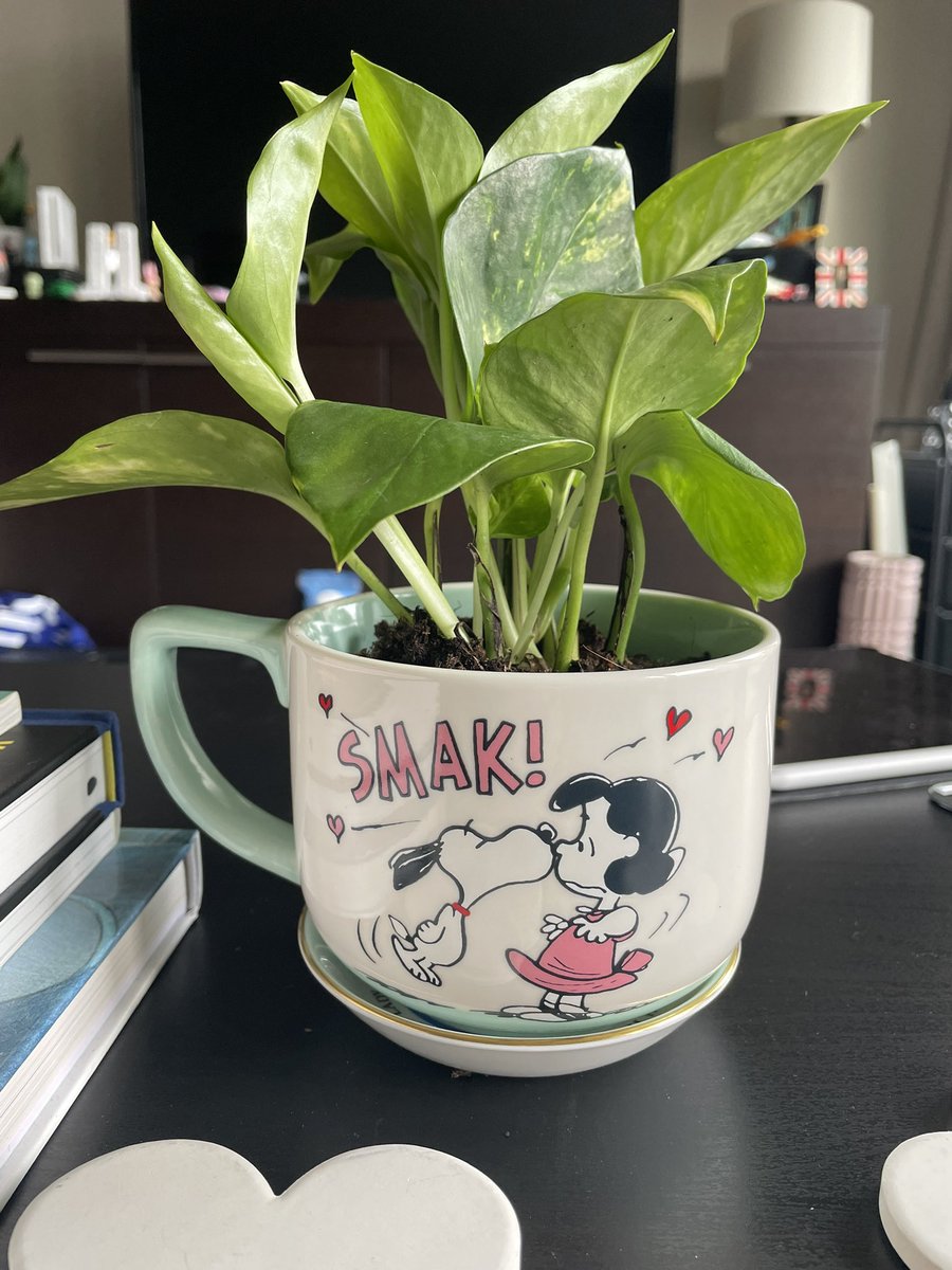 fartgirl21_'s tweet image. #FallVibes #Ilovetowalk #TeQuieroTantoQueMeEnceloHastaDeLoQuePudoSer🤷‍♀️