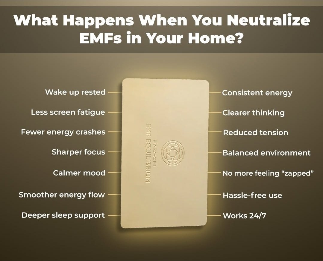 Colette Freiberg (@colettefreiberg) on Twitter photo 