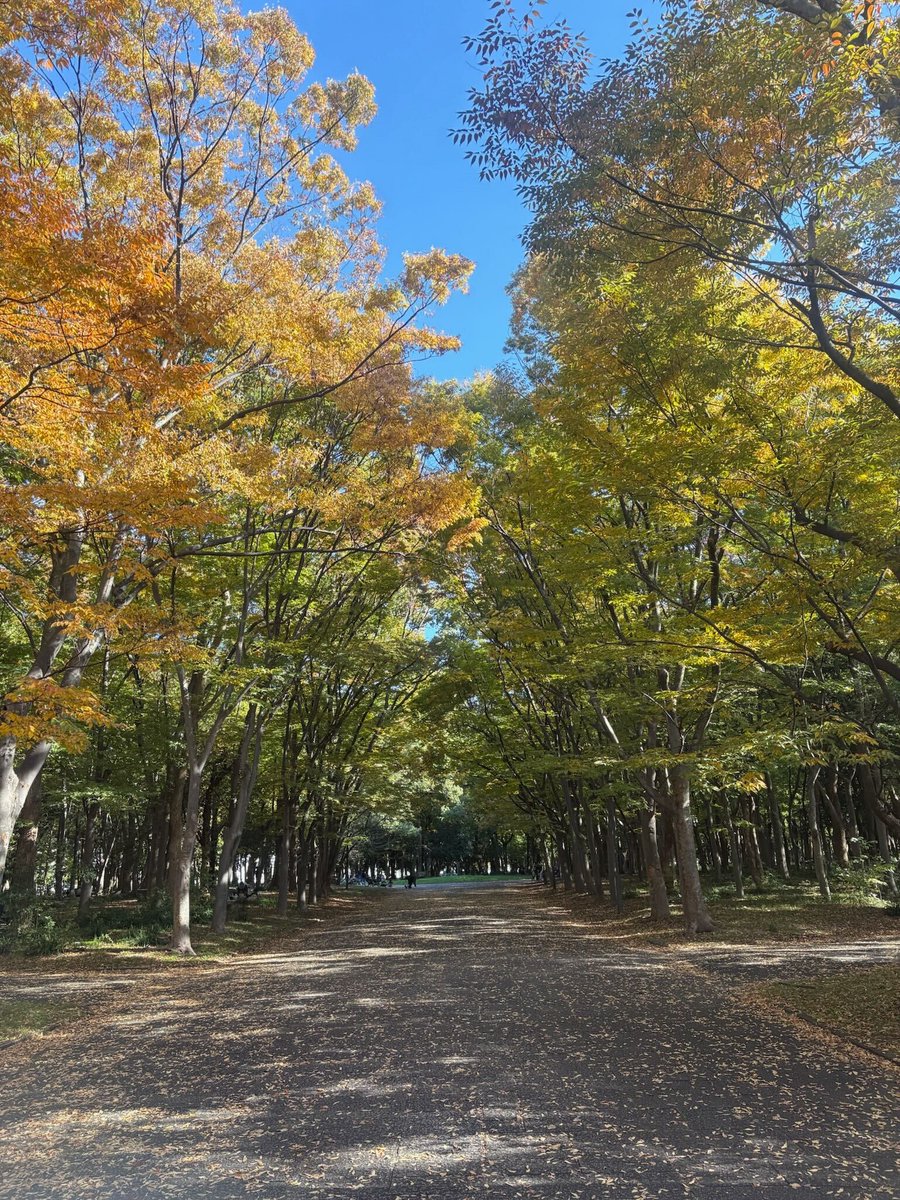 PWorkingsupport's tweet image. おはプラス+！
今日は晴れ☀＃木曜日

11月20日 #毛布の日
日本で毛布が生産され始めて130年以上らしいですよ😳
毛布が要らなかったくらいの日曜日に戻ってほしいですね...🥶

これはイイ！！という防寒グッズがあれば教えてください‼️

今日も一日ご安全に🦺
#企業公式が毎朝地元の天気を言い合う