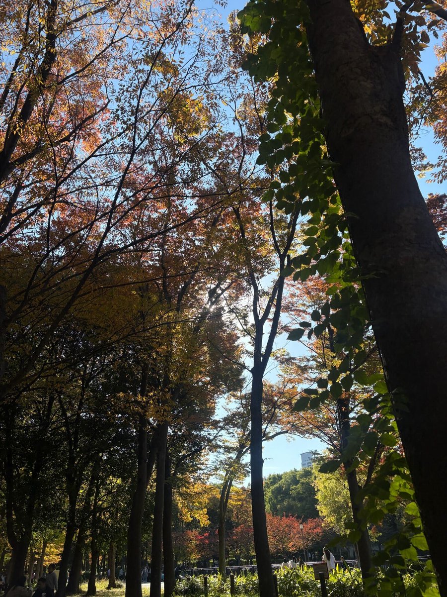 PWorkingsupport's tweet image. おはプラス+！
今日は晴れ☀＃木曜日

11月20日 #毛布の日
日本で毛布が生産され始めて130年以上らしいですよ😳
毛布が要らなかったくらいの日曜日に戻ってほしいですね...🥶

これはイイ！！という防寒グッズがあれば教えてください‼️

今日も一日ご安全に🦺
#企業公式が毎朝地元の天気を言い合う