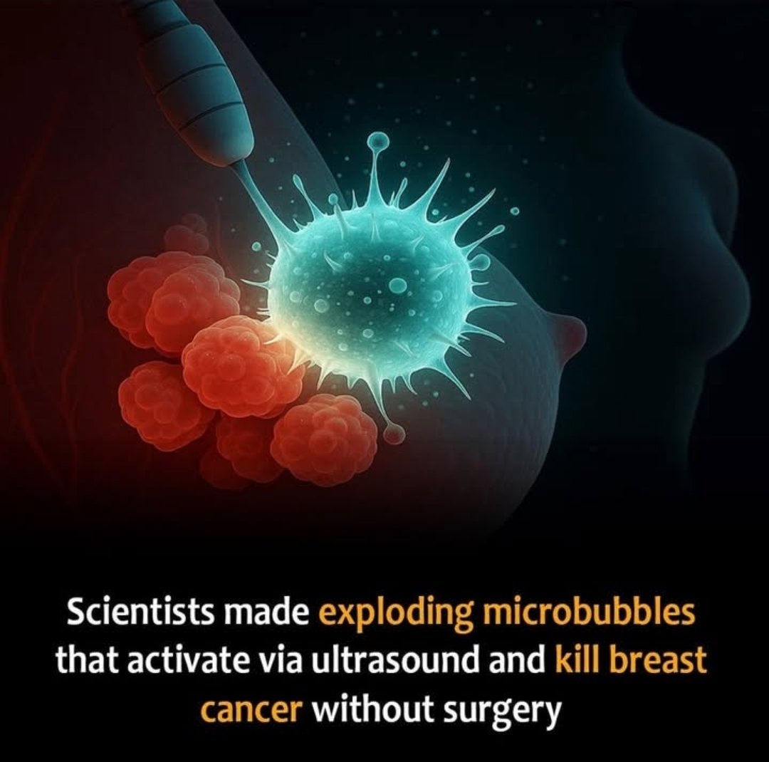 Colette Freiberg (@colettefreiberg) on Twitter photo 