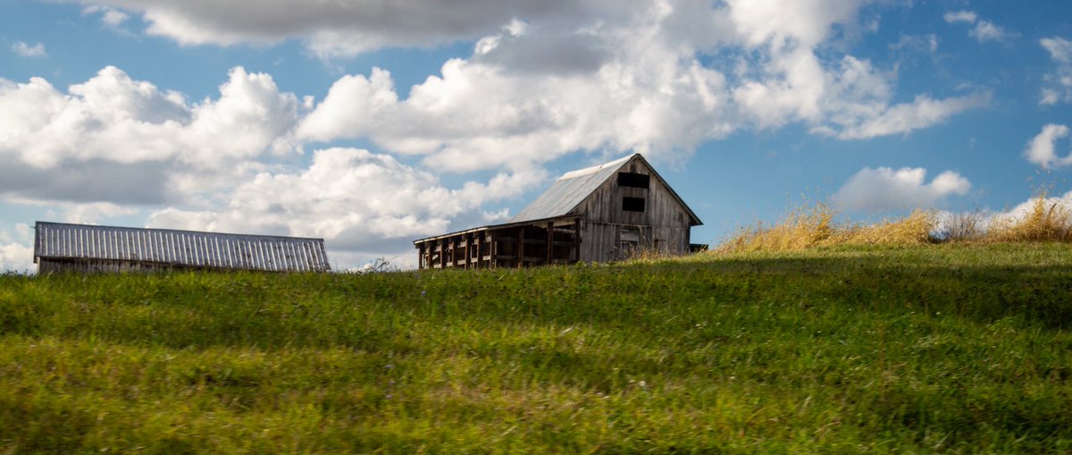 desolangels's tweet image. 