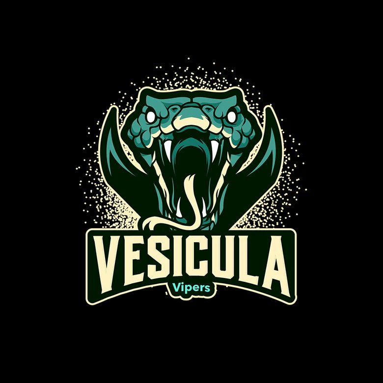 Vesícula Vipers🐍 tweet media