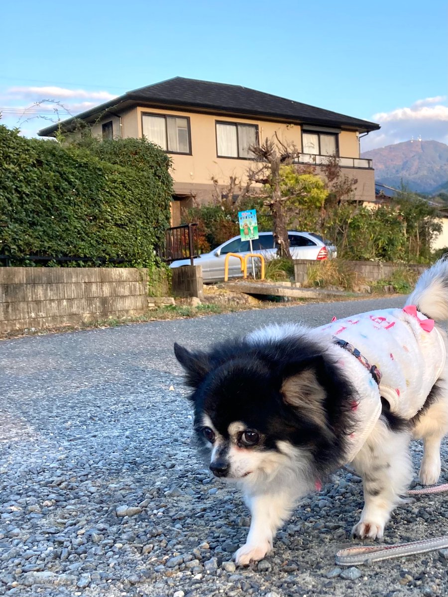 ModeLab_K's tweet image. おはようモーニング😀
今日も良い天気ですよ♪
大分冷え込みましたね
ご自愛くださいませ。