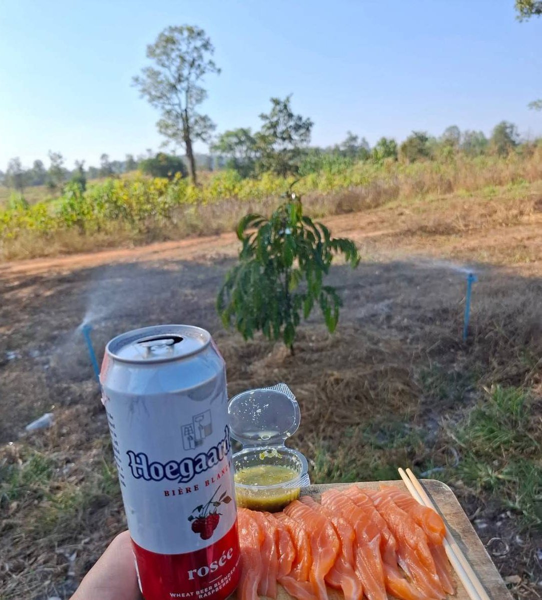 โตแล้วจึงเข้าใจว่า งานที่ดี ไม่ใช่งานที่ได้เงินเยอะที่สุด แต่เป็นงานที่มีเวลาได้ใช้ชีวิตหลังเลิกงาน และไม่กินเวลาชีวิต