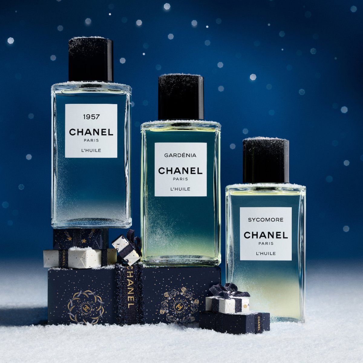 レ ゼクスクルジフ ドゥ シャネル。マドモアゼルの人生のさまざまな