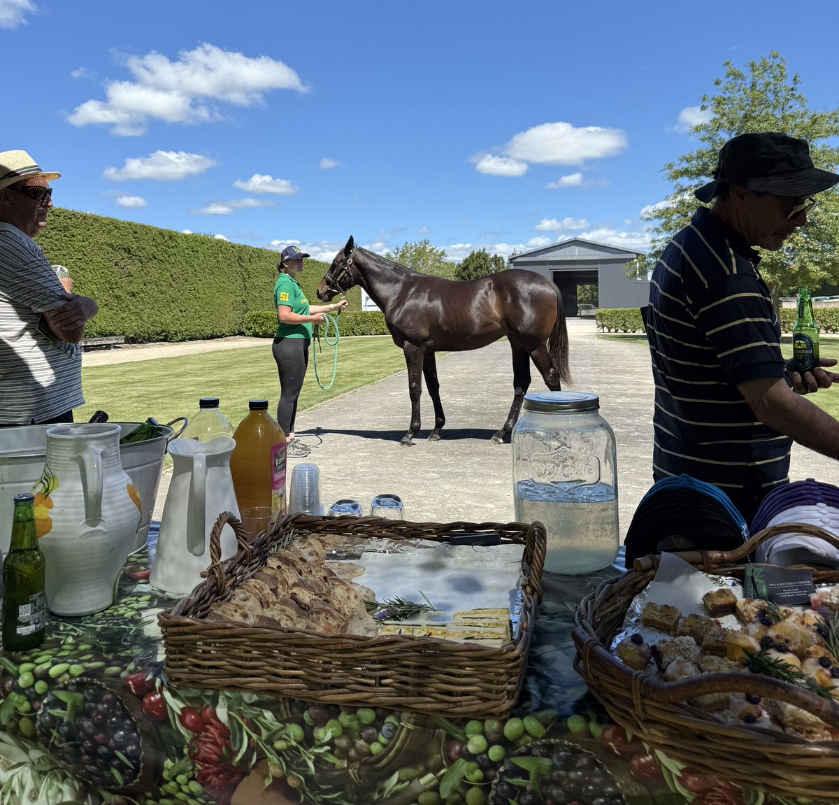 Little Avondale tweet media