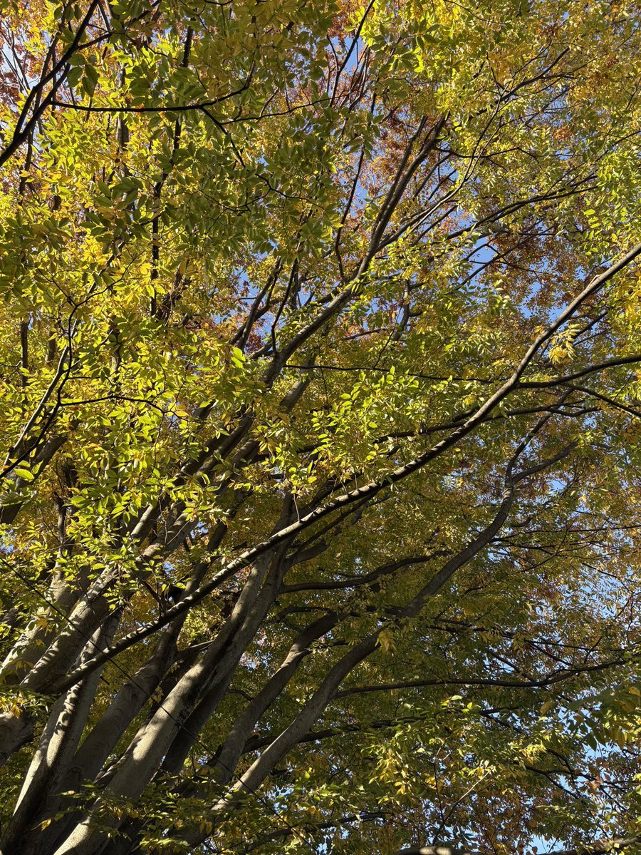 fragile12month's tweet image. 