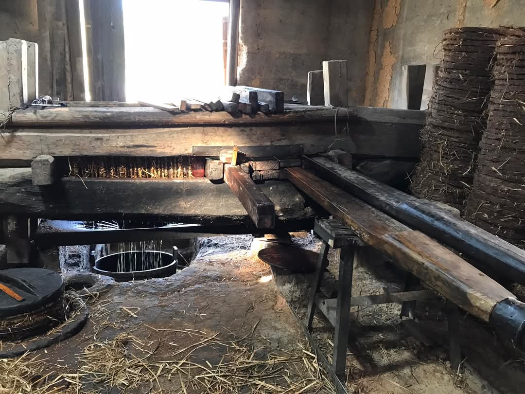 chinn Wan（互fo互赞） tweet media