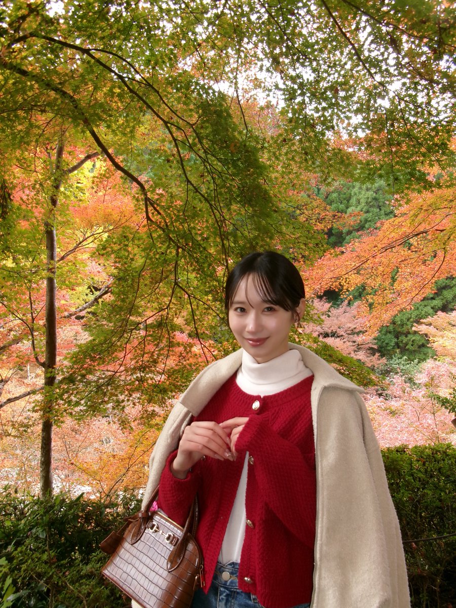 ゆいゆいだよー様の専用ページ ゆいゆいだよー様の専用ページ 坂東☆太郎📷 on X