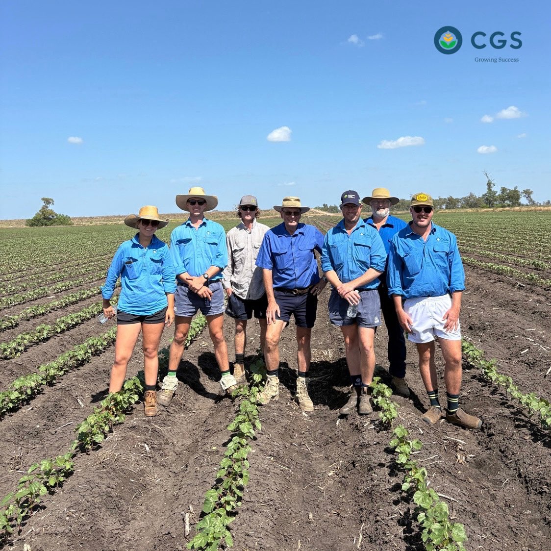 The CGS Dalby team and long term growers “Bremner Farms” checking out the new ThryvOn technology for early thrip protection in cotton 🌱