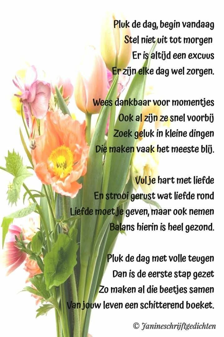 janlvd2's tweet image. Goedemorgen 
#DDK