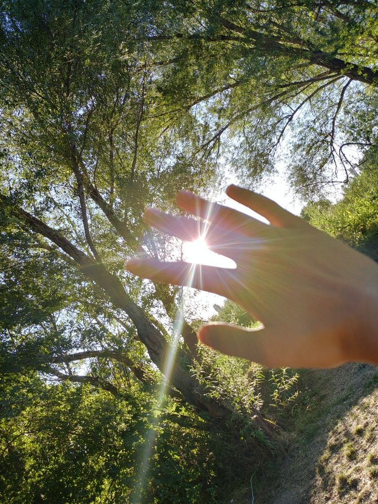 Ujii 👽 tweet media