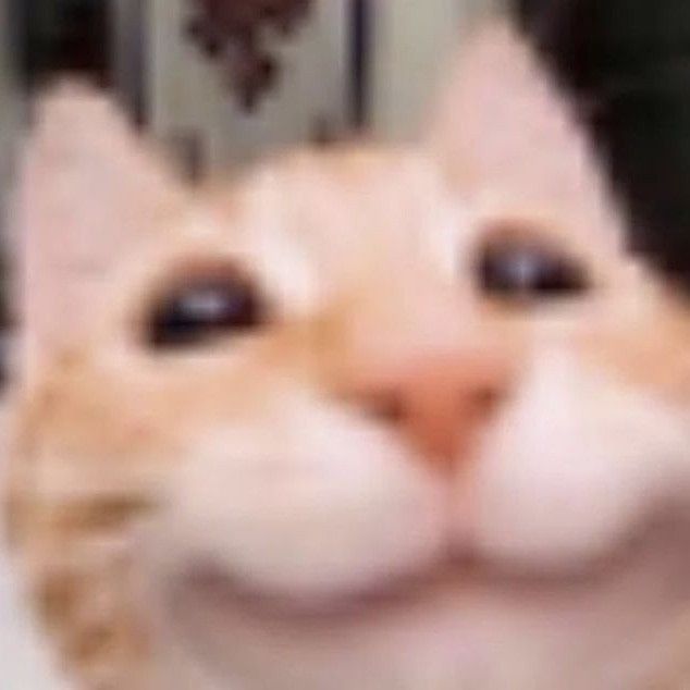 tmlywisebillyue's tweet photo. hi very awesomesauce reminder that wisebilly world has a discord server. and You can join. for the #verylow price of Dming Me https://t.co/xcDY0PBUFu
