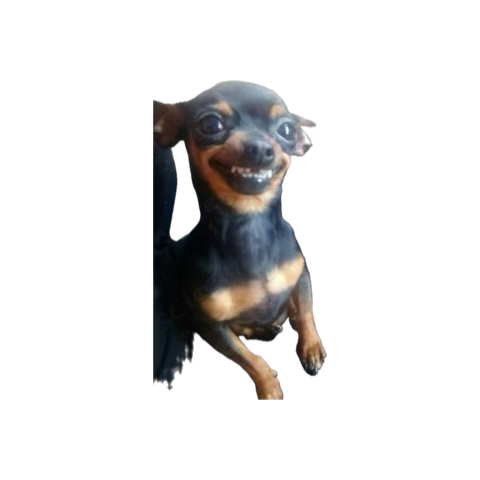 I love my stickers. But I love my sister who sends me some more :)