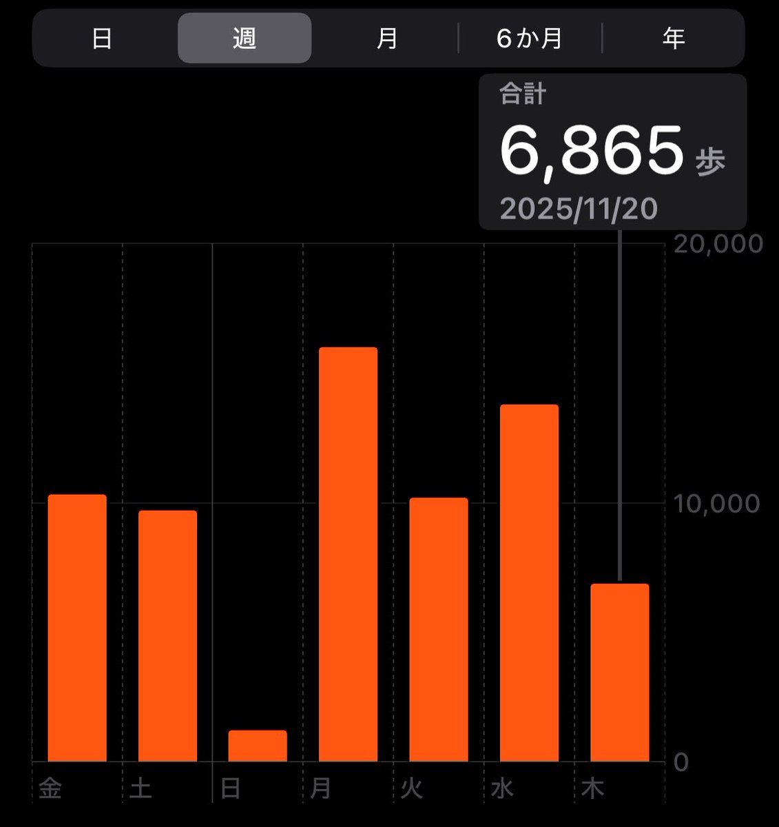 昼休みで5000歩くらい歩いてきた！