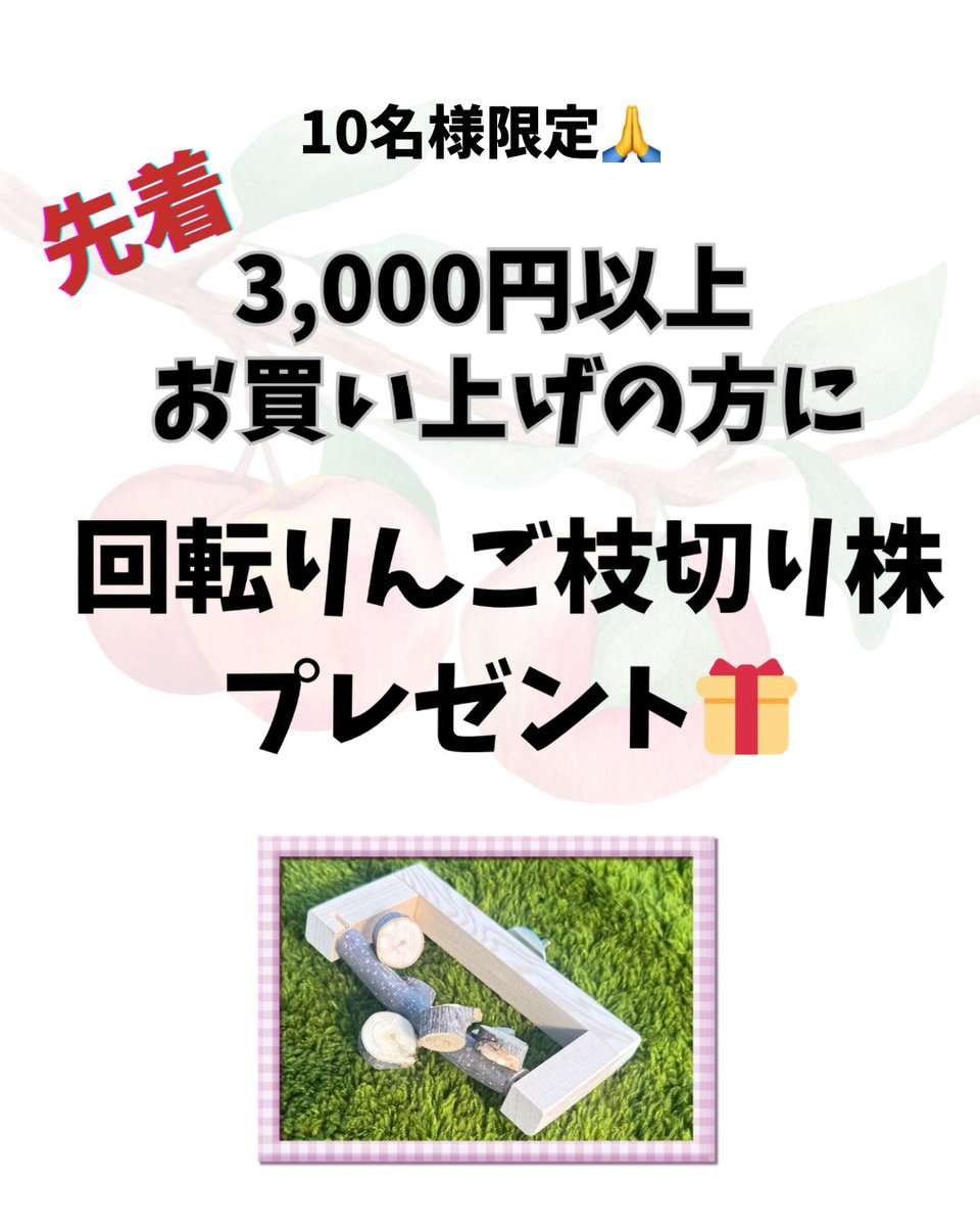 🍎3000円以上購入の先着10名様にプレゼント🍎

りんご枝の回転切り株を、3000円以上ご購入の10名様にプレゼントします！

数が少なくてごめんなさい🙏

回転シリーズ化しなかった非売品となります🥹
ぜひGETしてください♡

#ローデンツ東京