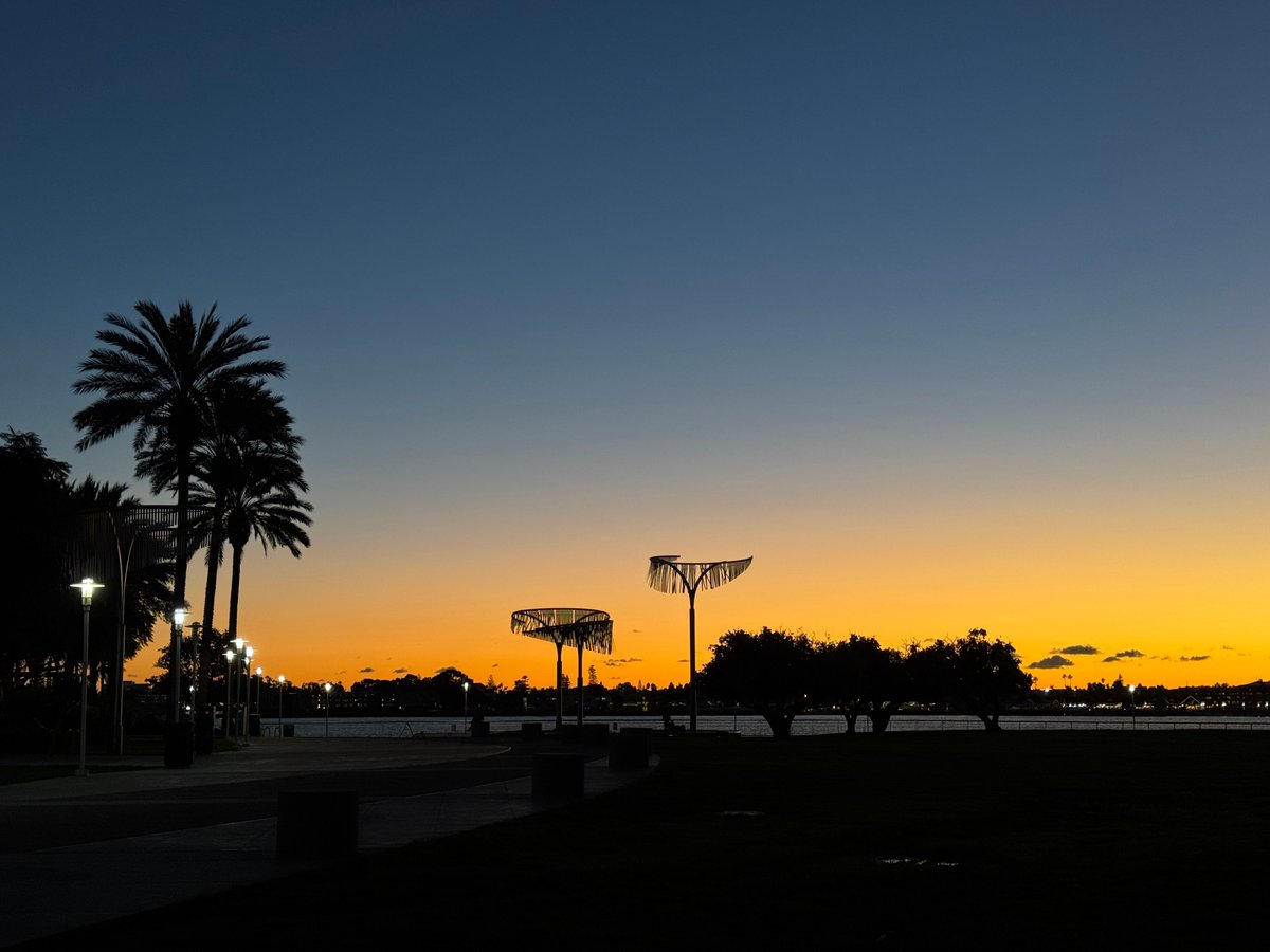 Dr. Theresa Desrochers tweet media