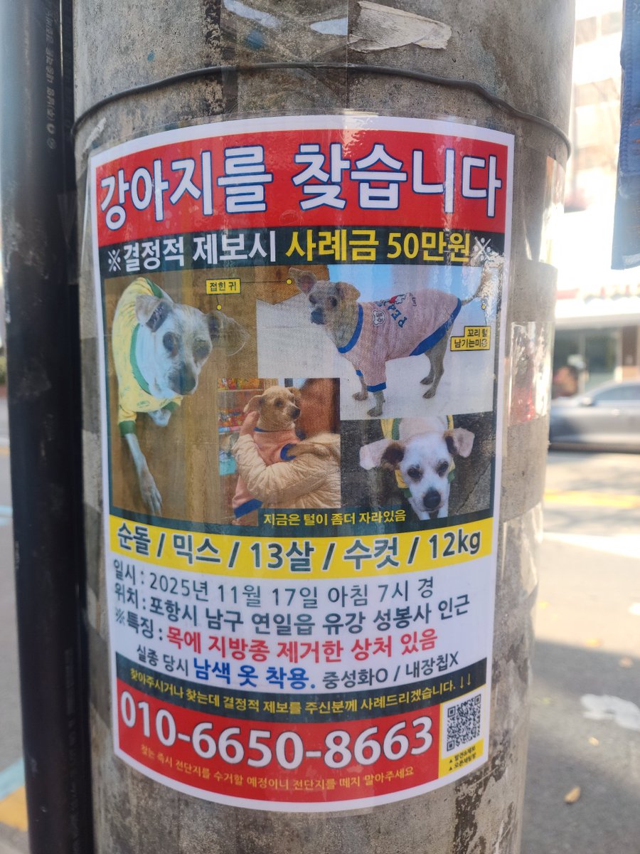 #강아지 #개 #가나디 #반려동물 #경북 #포항 #강아지실종 #동물 #RT
부모님 가게 앞에 강아지실종 포스터 붙어있어서 올려봐요 근처 사시는분들 산책하면서 길에 비슷한 애기 있는지 한번 봐주세요! 곧 추워지는데... 애기야 따뜻한 집으로 가자