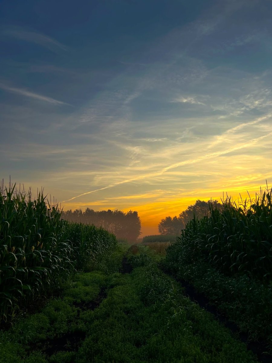 0͏0͏:0͏0͏ (@0hour0minute) on Twitter photo 