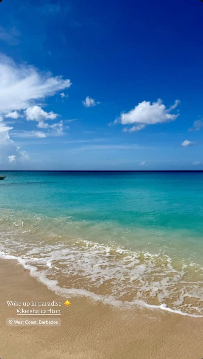 Jodesfx's tweet image. There is something special about this place need to find out a little more😂🥺🐳🐬🐟