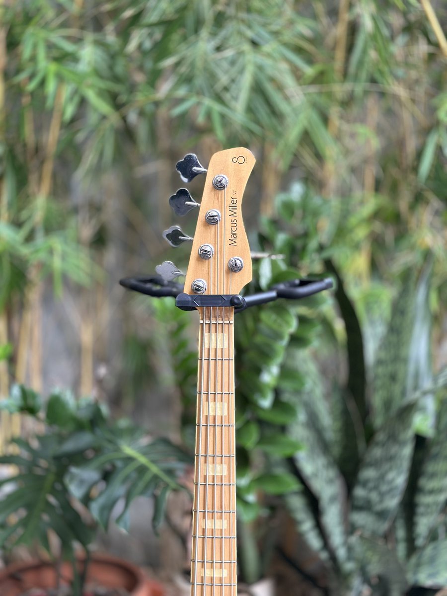 fachridipa's tweet photo. Bismillah.
For Sale Bass Guitar
-Sire Marcus Miller V7 Ash Maple Natural, 5 Strings-
Rare &amp; Super Mulus (ga dipake)
Bisa tokped atau shopee
WA/Tlp 08112251920
#jualbass
#bass
#marcusmiller
#sire https://t.co/jEyYCb7rTh