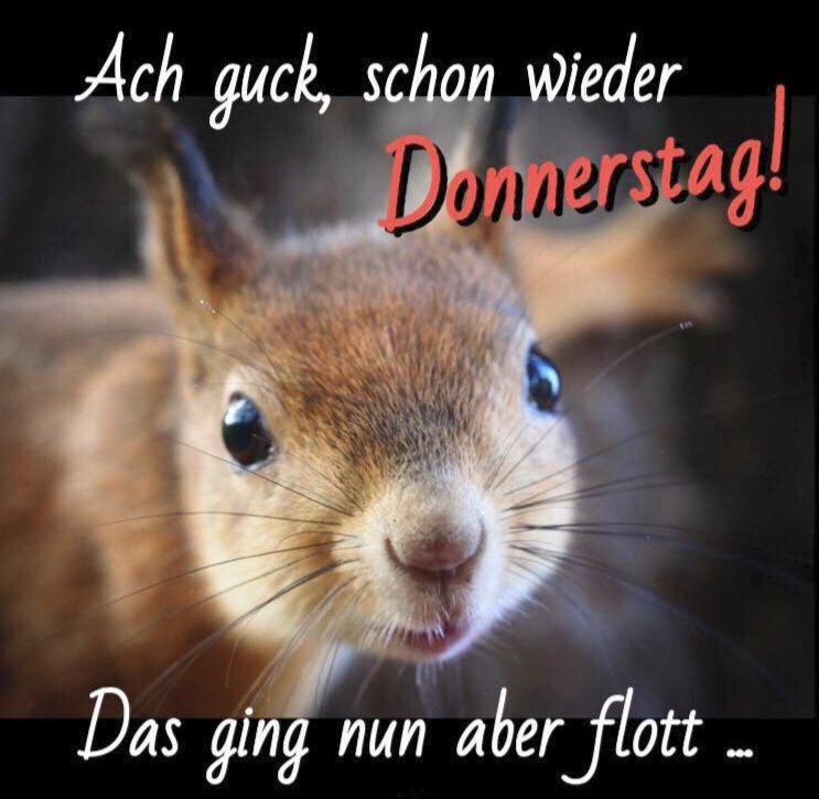 Guten Morgen Twitterbande ☕🫶
Heute noch, dann ist Wochenende 😎
Kommt gut durch den Tag!