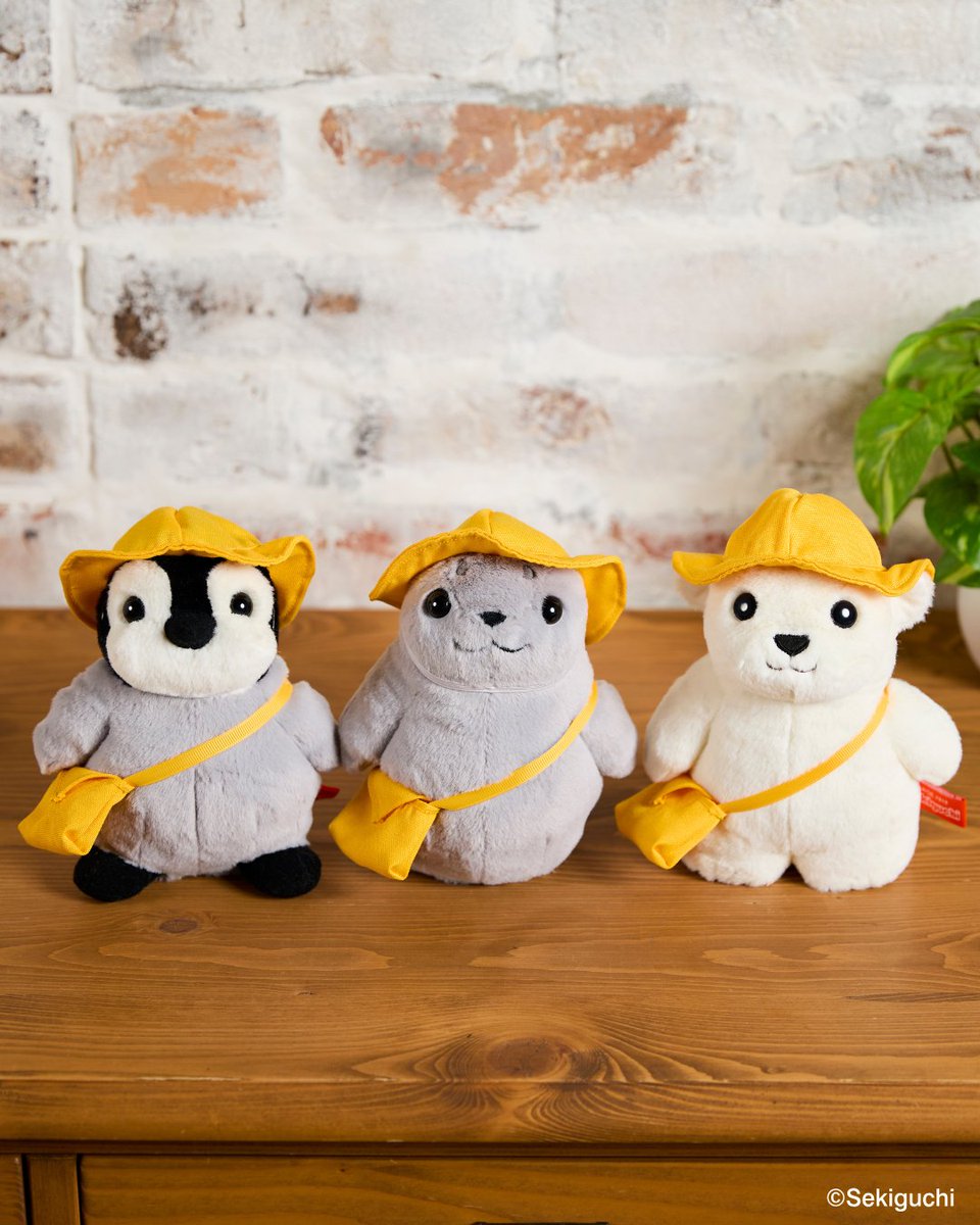 セキグチ公式オンラインショップ (@sekiguchi1918) / Posts / X