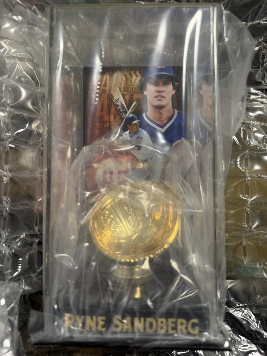 山本由伸 サインボール 球団ロゴ入り ケースつき 山本由伸 直筆サイン