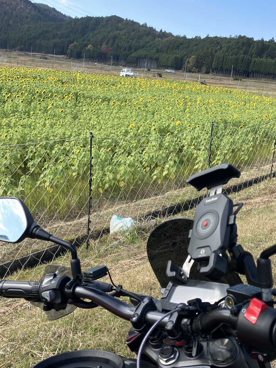 yamasanページ YAMA SEIKI