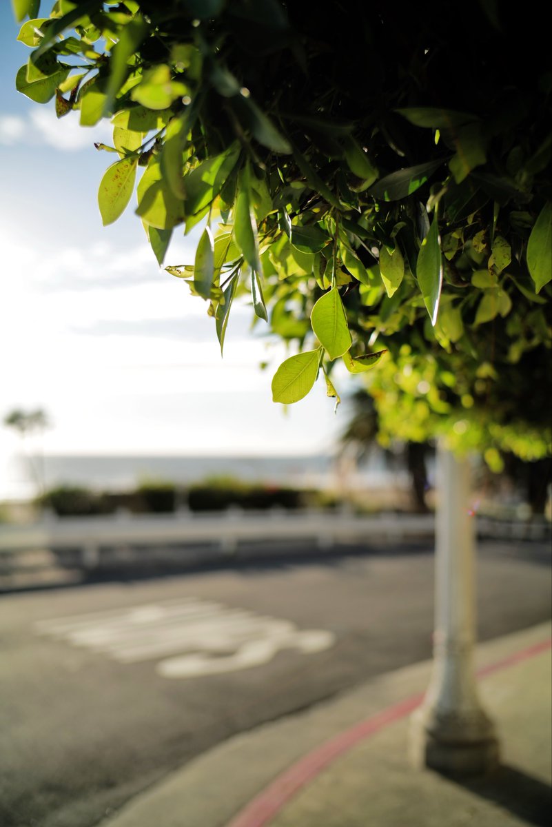 Null_Case's tweet image. Santa Monica不起眼的两个角落😌

Nokton 28mm F1.5 ASPH II
Filter: Leica VIVID + TEAL
#null树洞