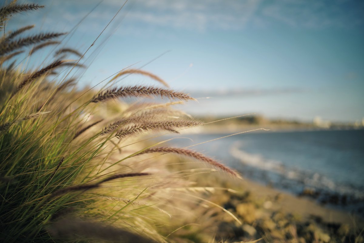 Null_Case's tweet image. Santa Monica不起眼的两个角落😌

Nokton 28mm F1.5 ASPH II
Filter: Leica VIVID + TEAL
#null树洞